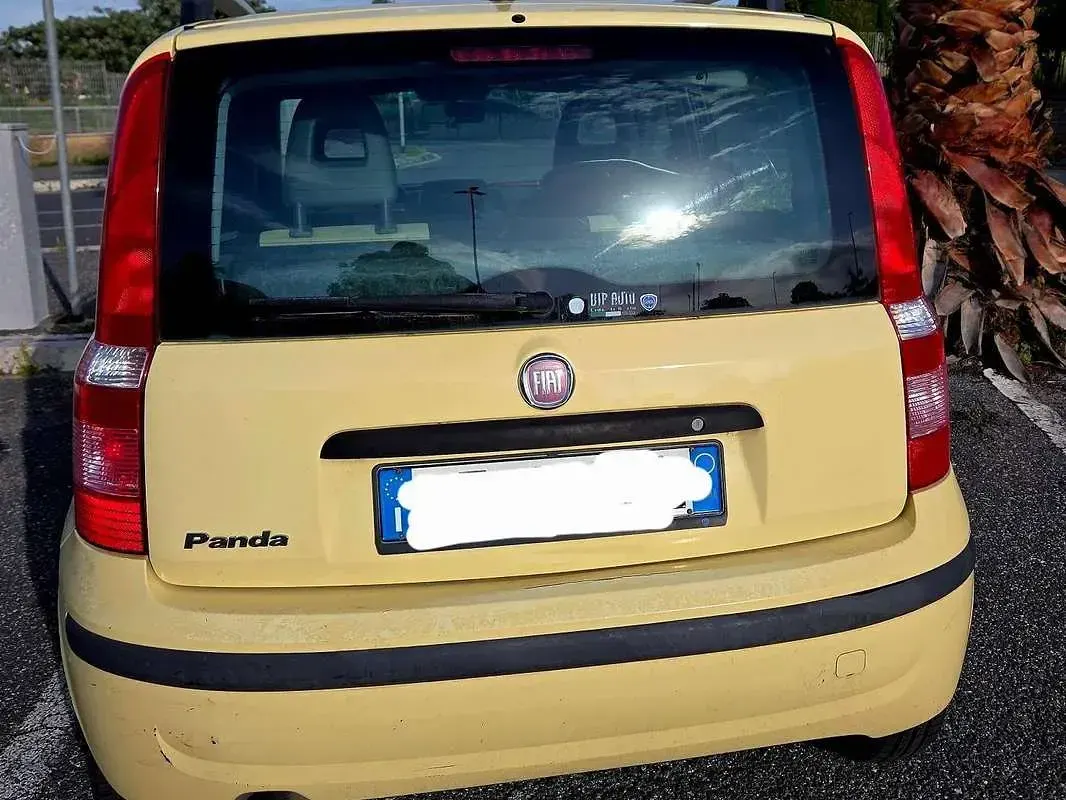 Usata Fiat Panda Dynamic 69 CV (50 kW) 2010 Giallo Utilitaria