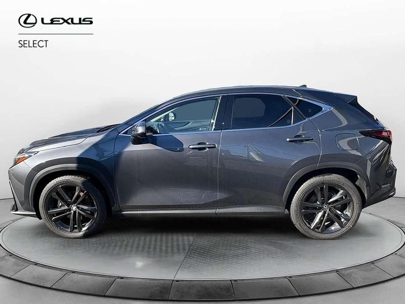 Usata Lexus NX300 309 CV (227 kW) 2023 Grigio SUV
