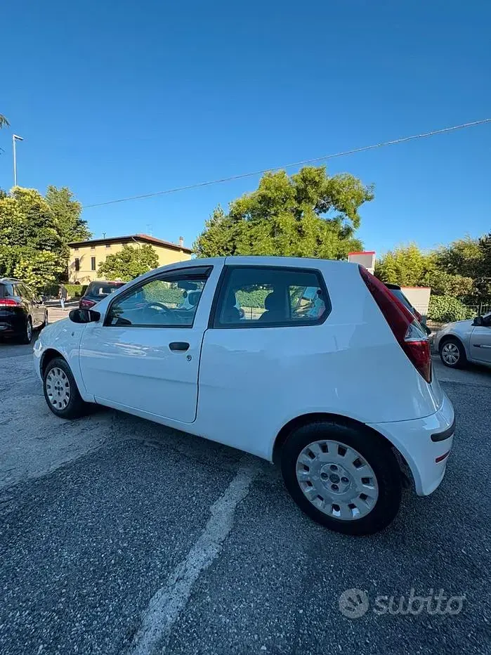Usata Fiat Punto 60 CV (44 kW) 2009 Bianco Utilitaria