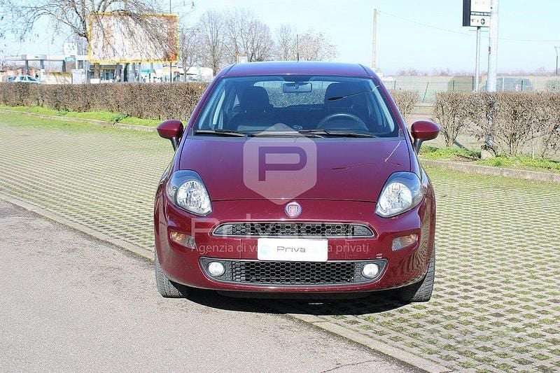 Usata Fiat Punto Lounge 69 CV (50 kW) 2014 Rosso Utilitaria