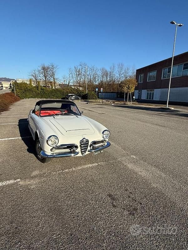 Usata Alfa Romeo Giulia Spider 1960 Bianco Cabrio
