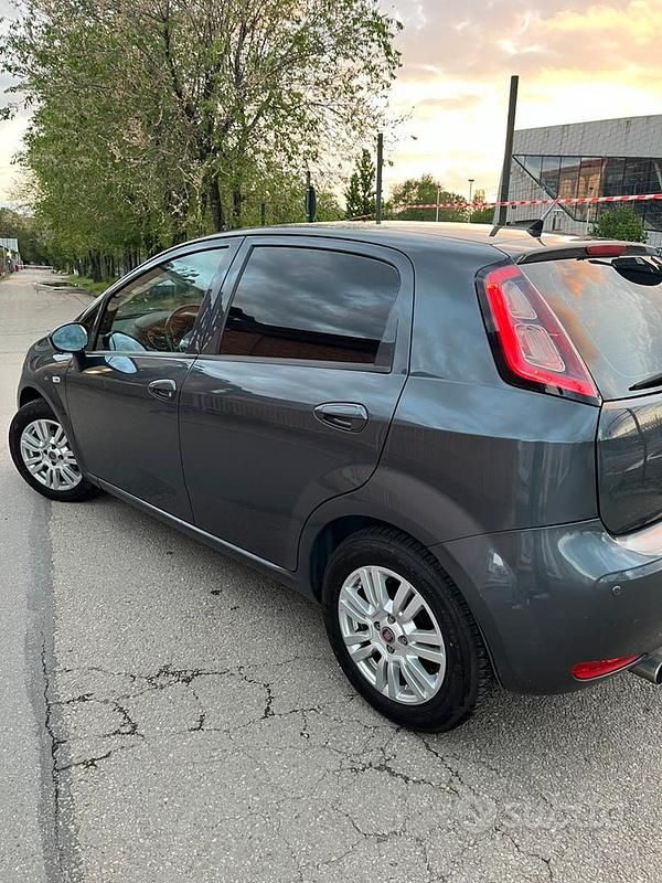 Usata Fiat Punto Lounge 75 CV (55 kW) 2014 Grigio Utilitaria