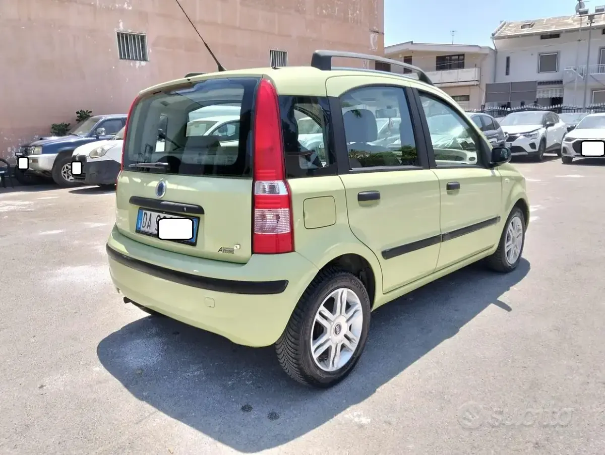 Usata Fiat Panda Dynamic 60 CV (44 kW) 2006 Verde Utilitaria