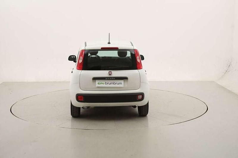 Usata Fiat Panda Easy 69 CV (50 kW) 2020 Bianco Utilitaria