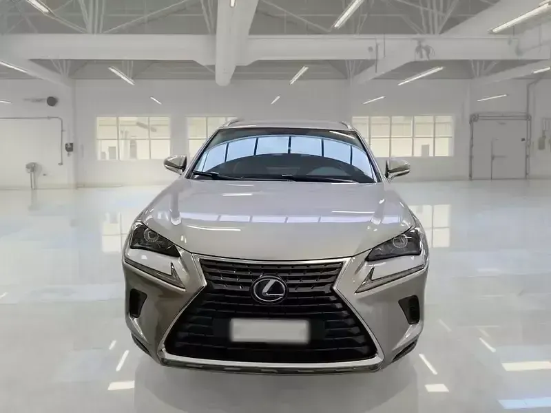 Usata Lexus NX300h 154 CV (113 kW) 2020 SUV