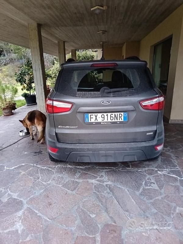 Usata Ford Ecosport 100 CV (73 kW) 2019 Grigio SUV