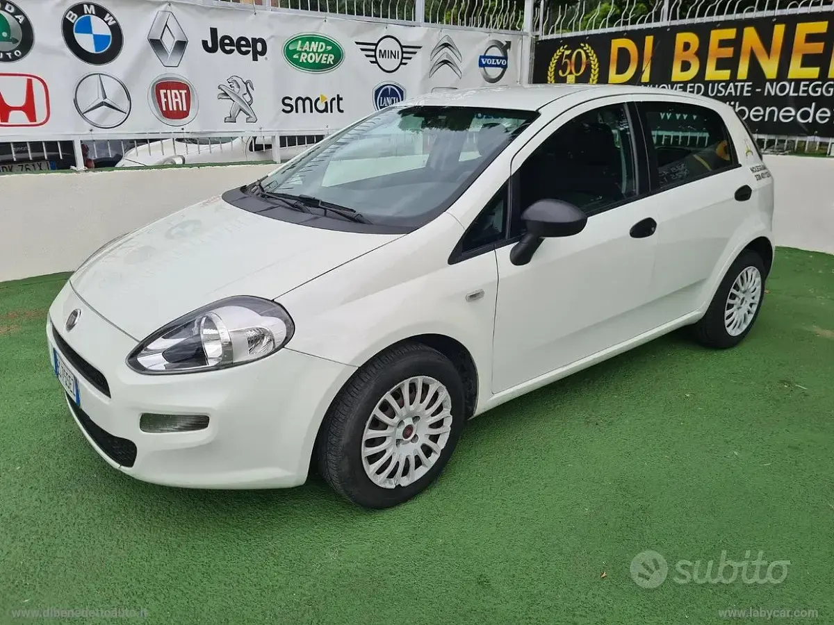 Usata Fiat Punto Evo 75 CV (55 kW) 2013 Bianco Utilitaria