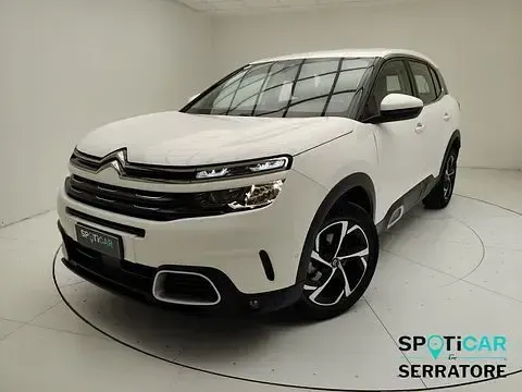 Usata Citroën C5 Aircross Business Class 131 CV (96 kW) 2020 Bianco SUV