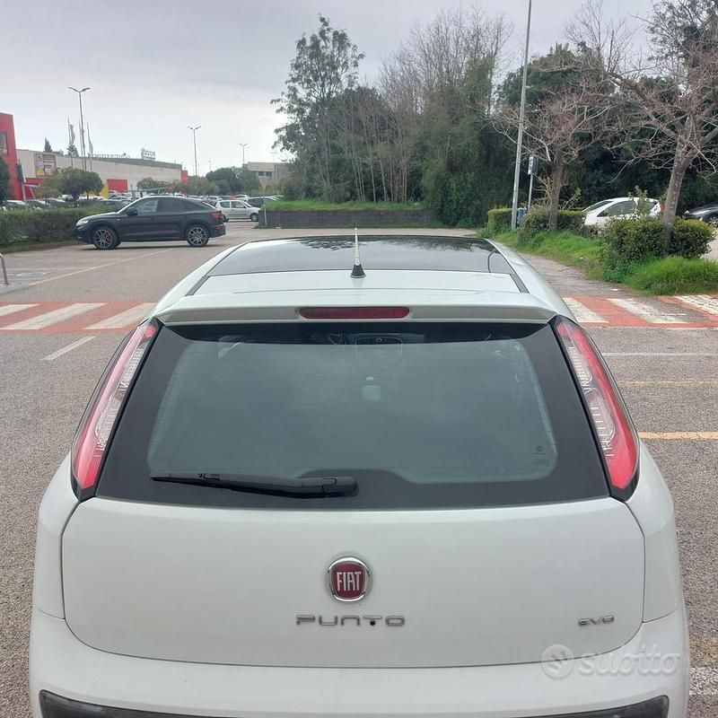 Usata Fiat Punto Evo 95 CV (69 kW) 2010 Utilitaria