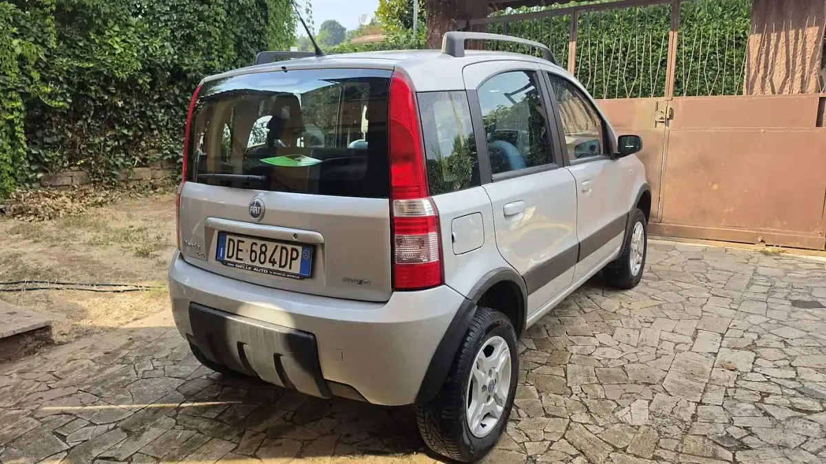 Usata Fiat Panda 4x4 69 CV (50 kW) 2006 Utilitaria
