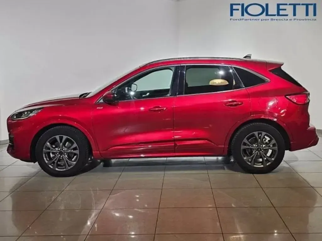 Usata Ford Kuga ST-Line 190 CV (139 kW) 2023 Rosso SUV