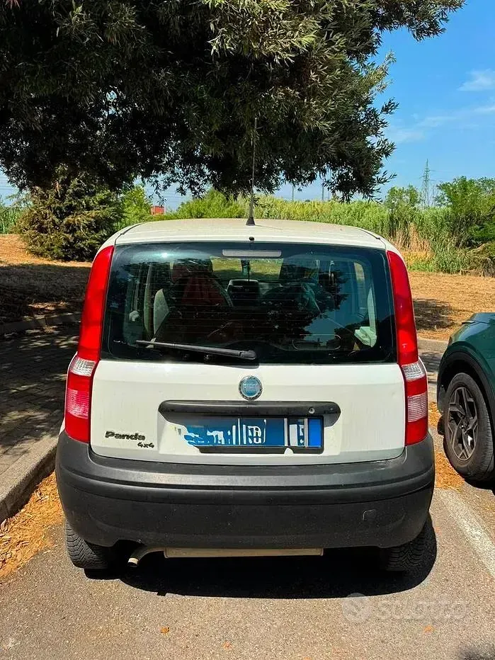 Usata Fiat Panda 4x4 60 CV (44 kW) 2006 Bianco Utilitaria