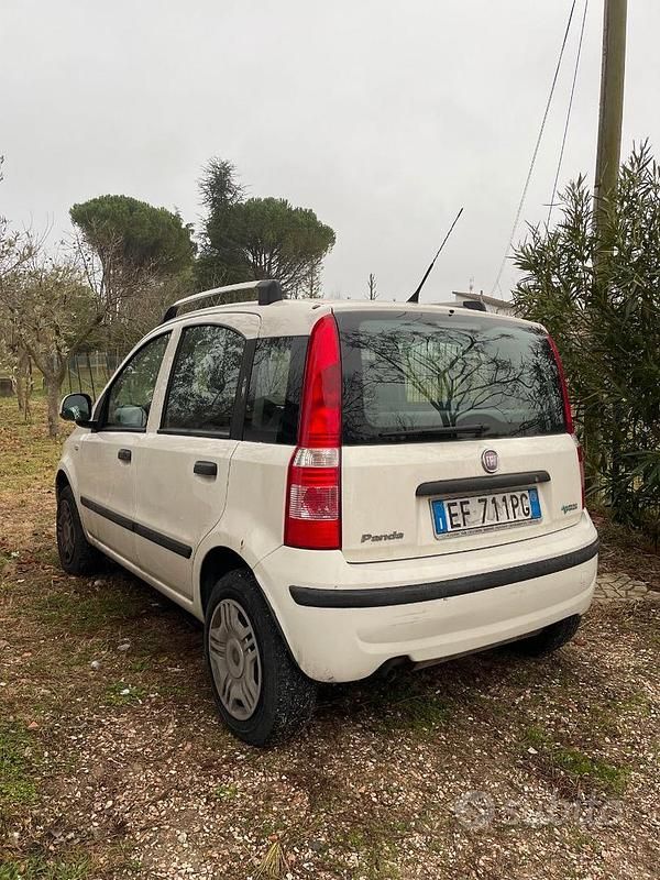 Usata Fiat Panda 77 CV (56 kW) 2010 Bianco Utilitaria