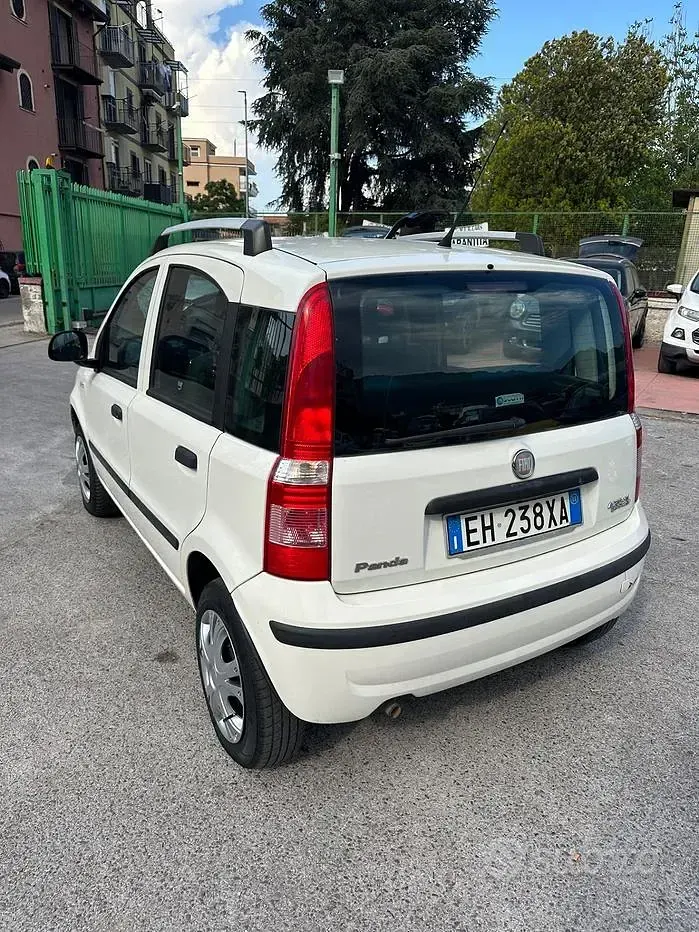 Usata Fiat Panda Active 69 CV (50 kW) 2011 Bianco Utilitaria