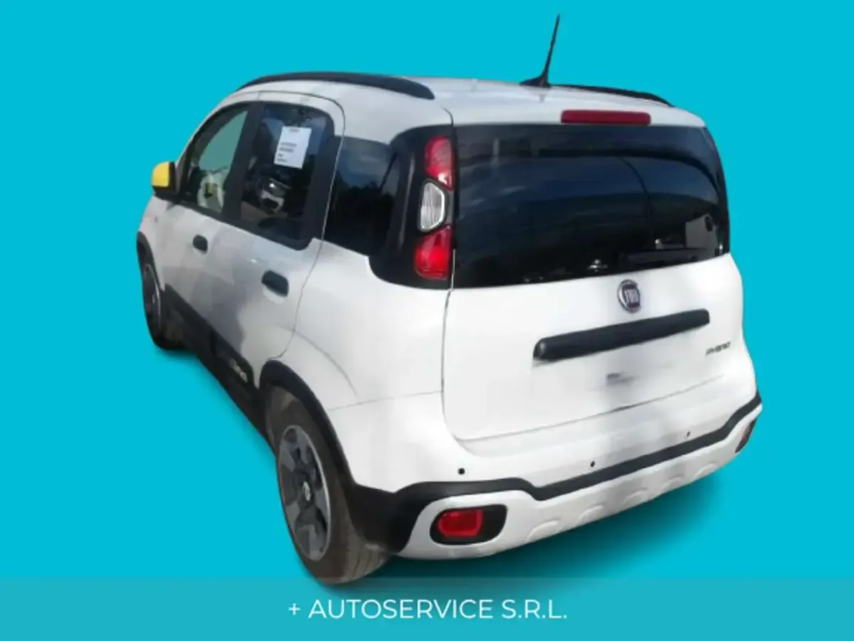 Usata Fiat Panda S 69 CV (50 kW) 2025 Bianco Utilitaria