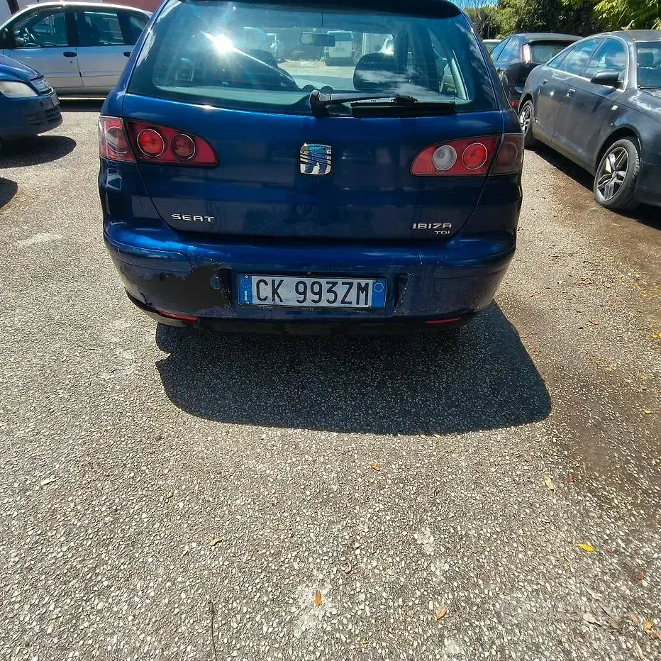 Usata Seat Ibiza 75 CV (55 kW) 2004 Blu Utilitaria