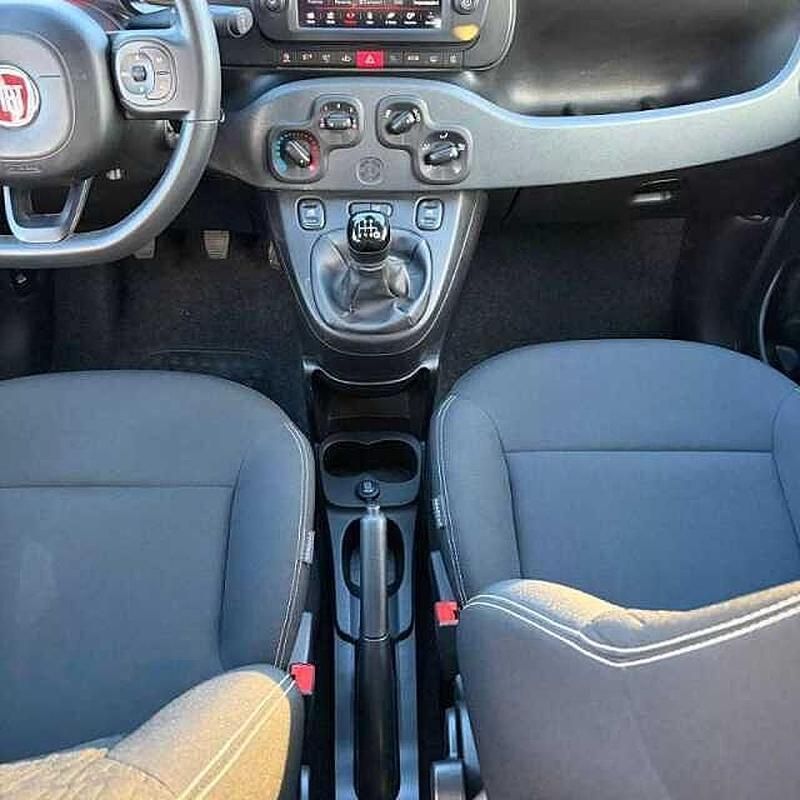 Usata Fiat Panda 2025 Utilitaria