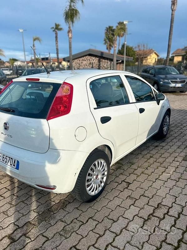 Usata Fiat Punto Lounge 85 CV (62 kW) 2016 Bianco Utilitaria