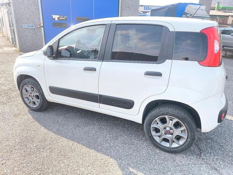Usata Fiat Panda 4x4 2019 Bianco Utilitaria
