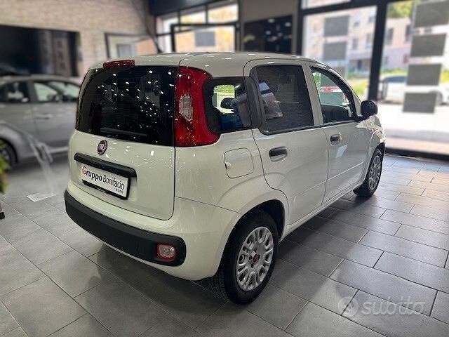 Usata Fiat Panda Easy 69 CV (50 kW) 2018 Bianco Utilitaria