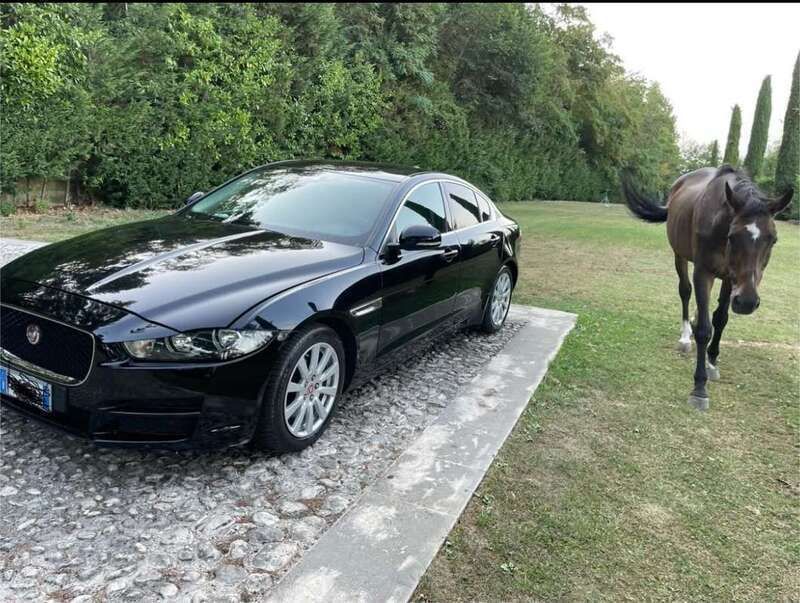 Usata Jaguar XE Business Edition 200 CV (147 kW) 2017 Nero Berlina