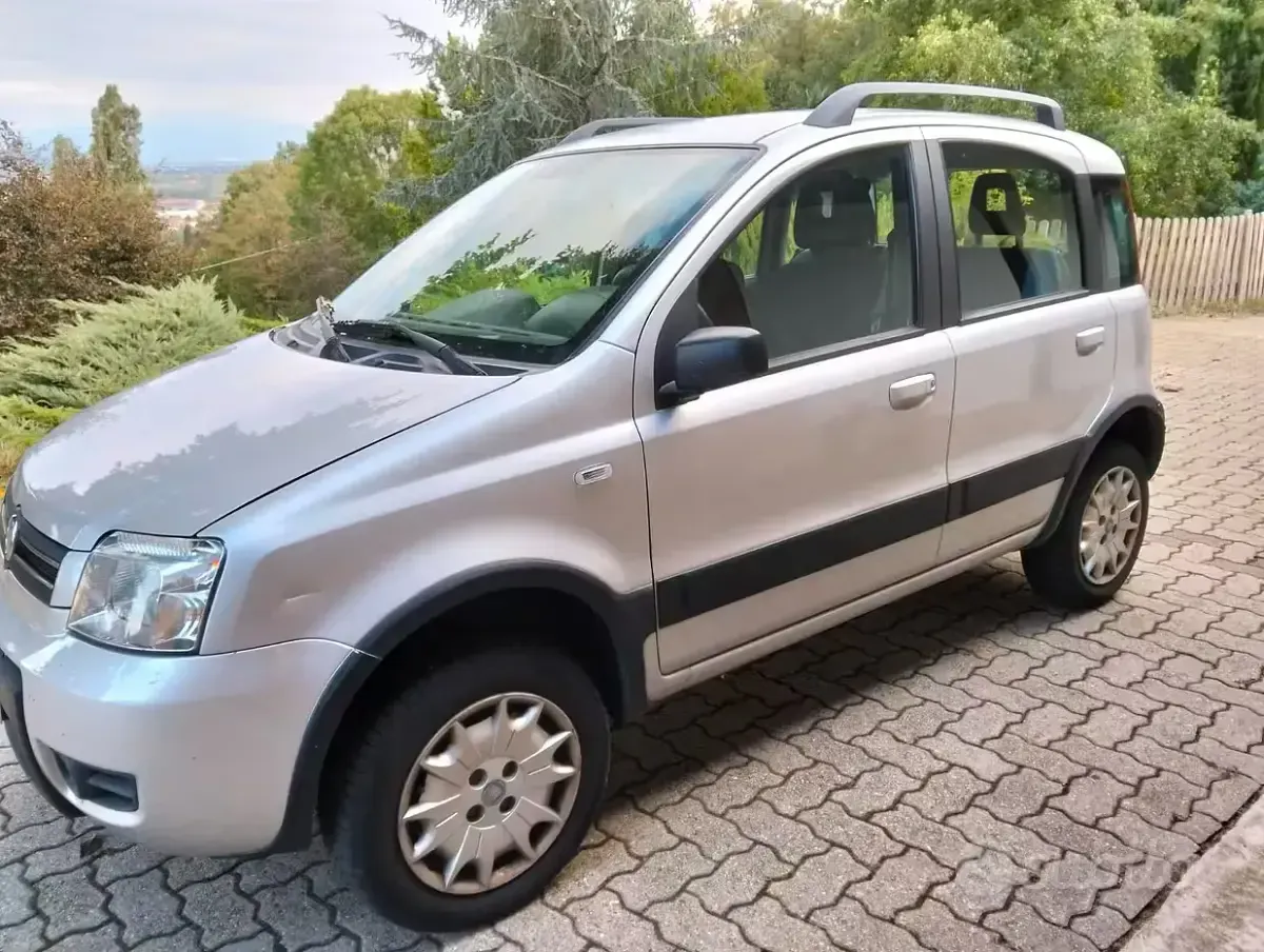 Usata Fiat Panda 4x4 60 CV (44 kW) 2008 Grigio Utilitaria