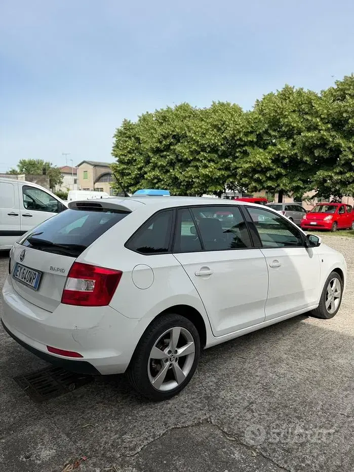 Usata Skoda Rapid Ambition 90 CV (66 kW) 2015 Bianco Utilitaria