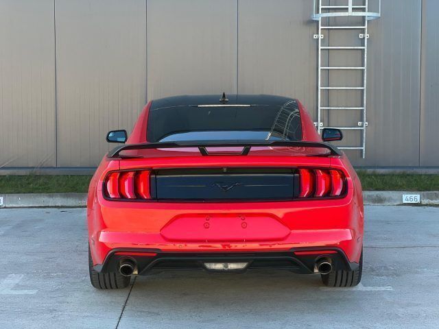 Usata Ford Mustang Fastback 317 CV (233 kW) 2020 Rosso pastello Coupé