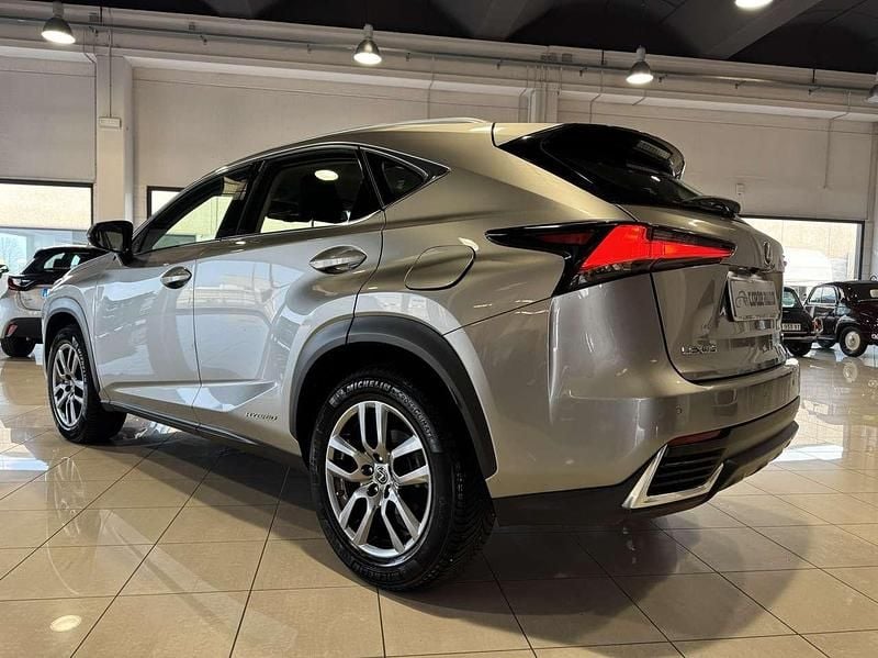 Usata Lexus NX300h Business Edition 155 CV (114 kW) 2019 Bronzo SUV