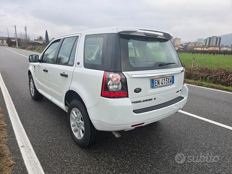 Usata Land Rover Freelander 2 SE 190 CV (139 kW) 2013 Bianco SUV