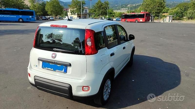 Usata Fiat Panda 69 CV (50 kW) 2024 Bianco Utilitaria