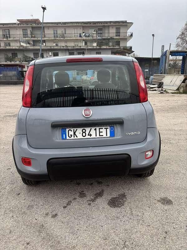 Usata Fiat Panda S 69 CV (50 kW) 2022 Utilitaria