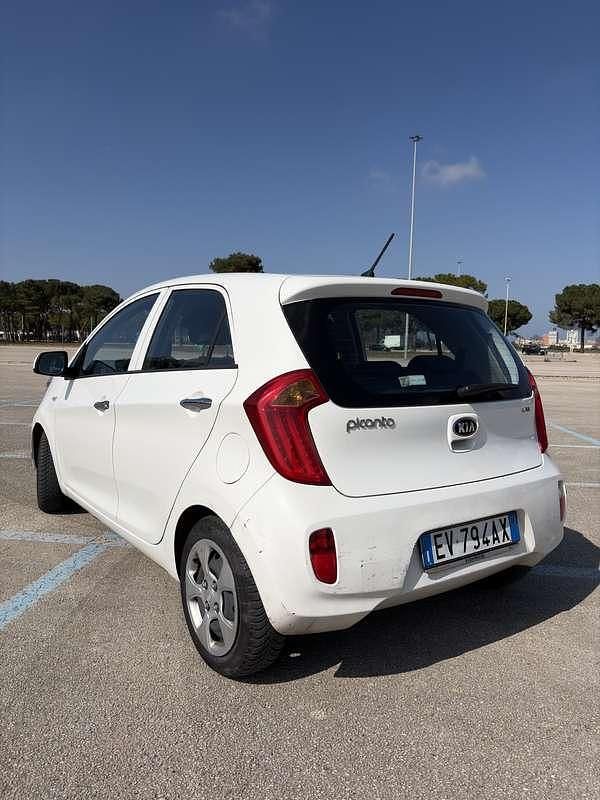 Usata Kia Picanto 67 CV (49 kW) 2014 Bianco Utilitaria