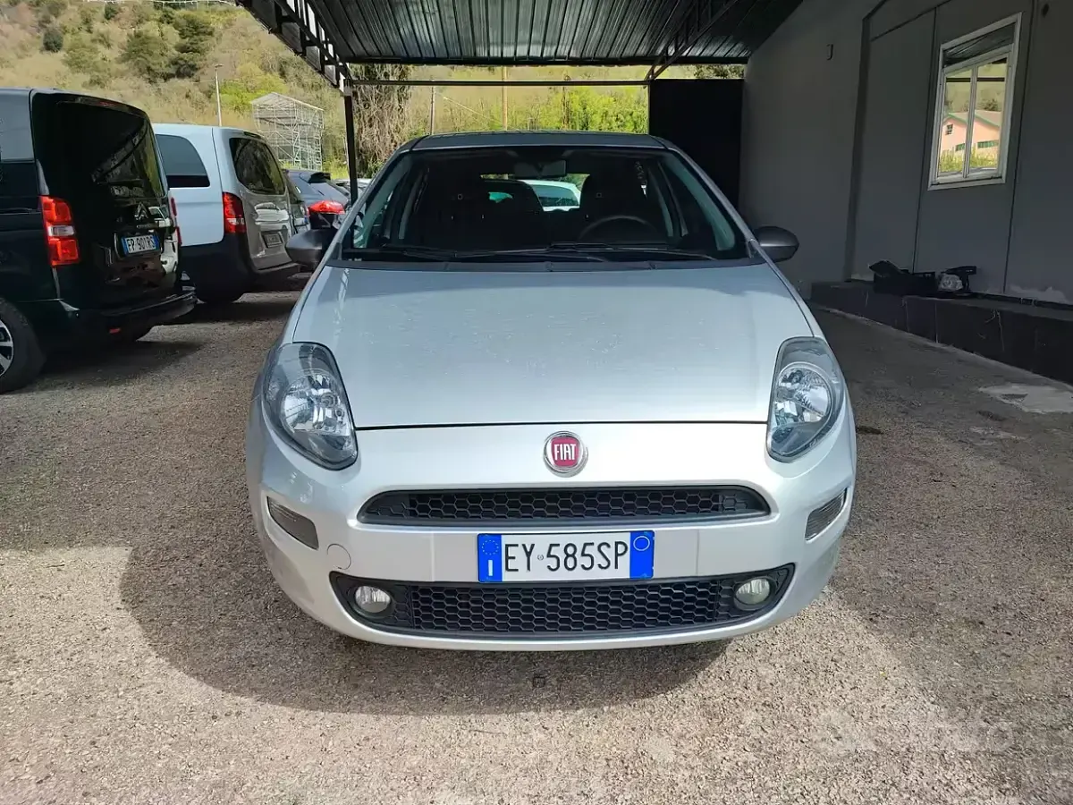 Usata Fiat Punto Lounge 75 CV (55 kW) 2015 Grigio Utilitaria