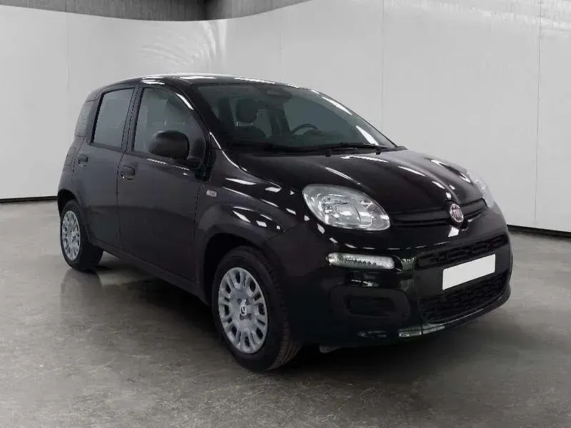 Nuova Fiat Panda Icon 70 CV (51 kW) 2025 Bianco Berlina