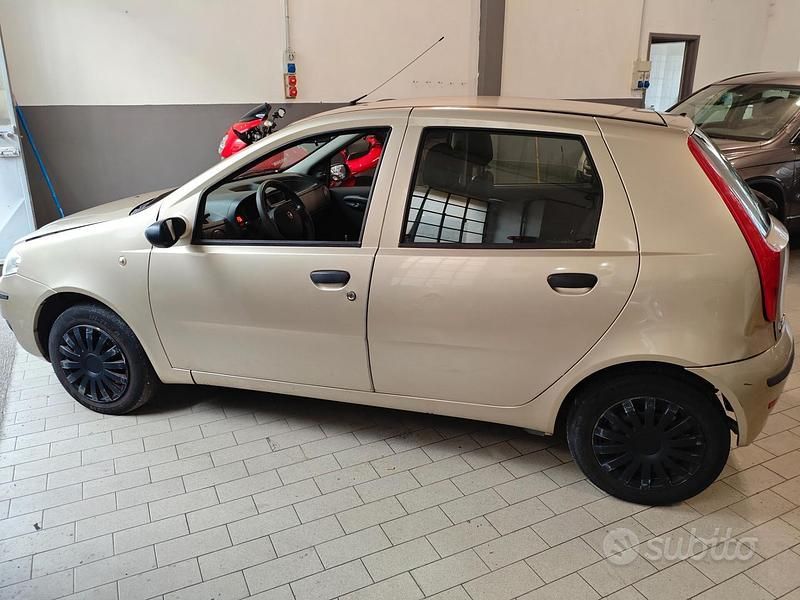 Usata Fiat Punto Active 59 CV (43 kW) 2009 Marrone Berlina