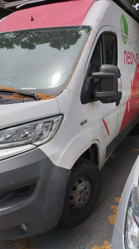 Usata Fiat Ducato 181 CV (133 kW) 2015 Furgone