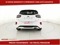 Usata Ford Puma ST-Line 125 CV (91 kW) 2022 Bianco SUV