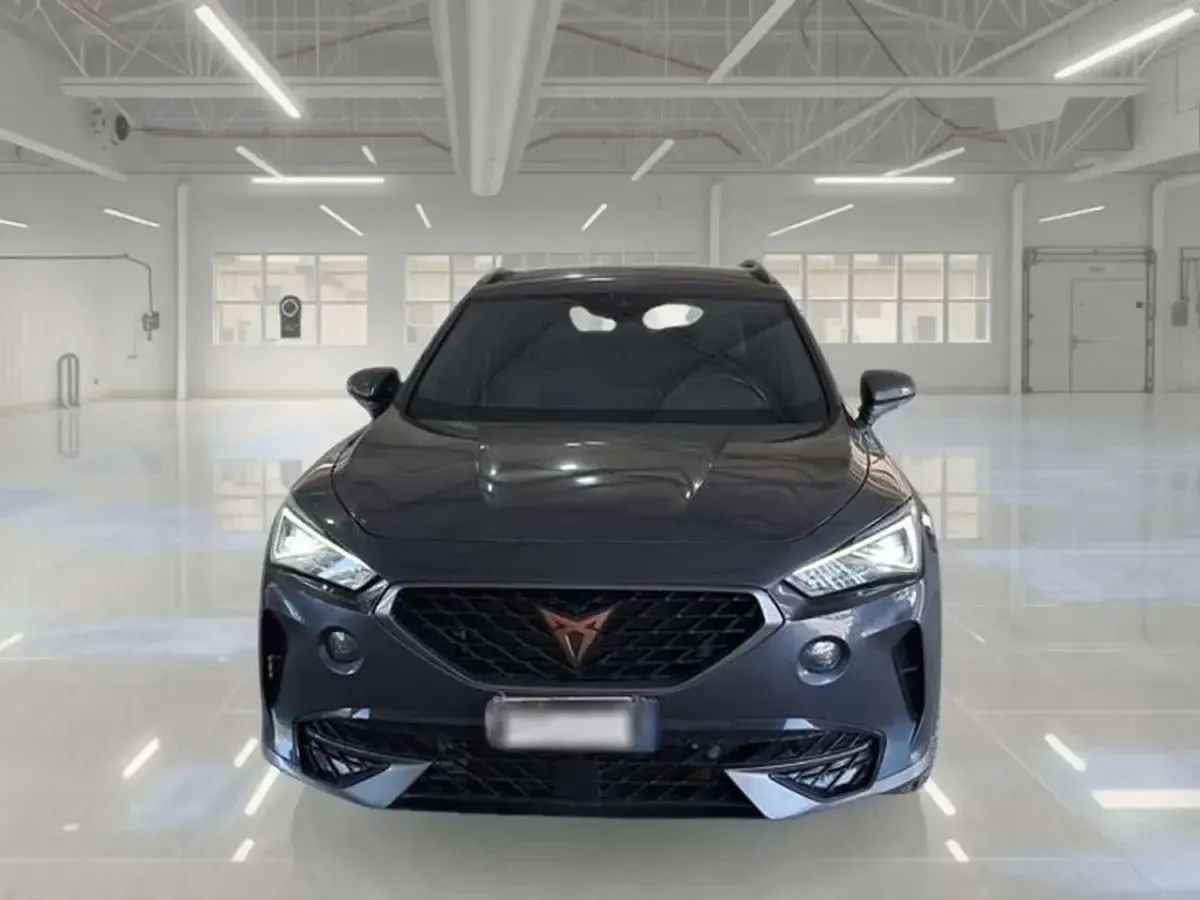 Usata Cupra Formentor 150 CV (110 kW) 2022 Grigio SUV