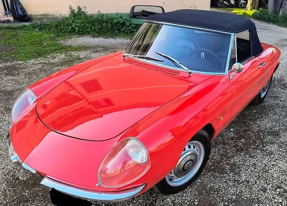 Usata Alfa Romeo Spider Veloce 131 CV (96 kW) 1966 Bianco Cabrio