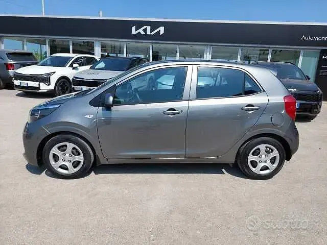 Usata Kia Picanto Plus 67 CV (49 kW) 2023 Grigio Utilitaria