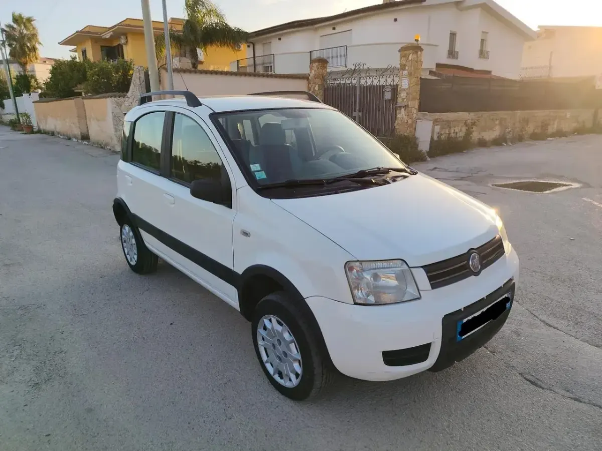 Usata Fiat Panda 4x4 Climbing 69 CV (50 kW) 2007 Bianco Utilitaria