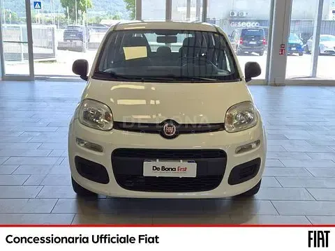 Usata Fiat Panda Easy 69 CV (50 kW) 2017 Bianco Utilitaria