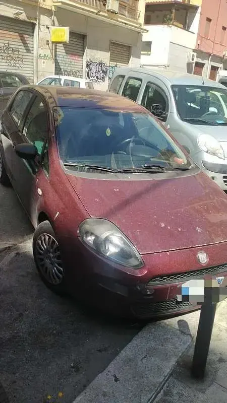 Usata Fiat Punto Evo 75 CV (55 kW) 2010 Utilitaria