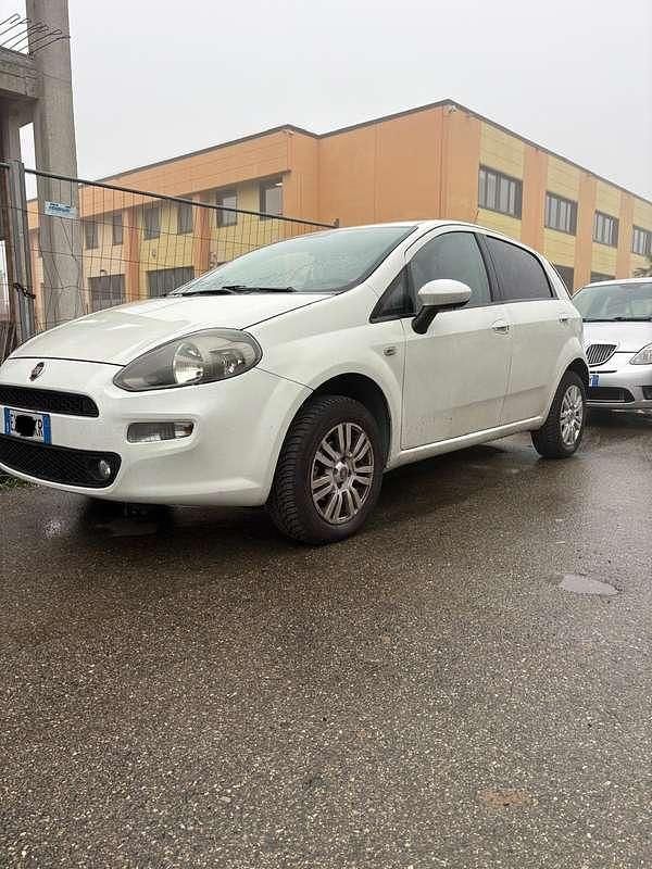 Usata Fiat Punto Evo 69 CV (50 kW) 2014 Bianco Utilitaria