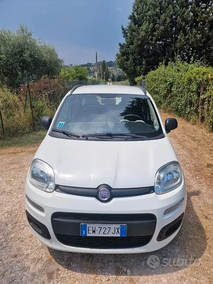 Usata Fiat Panda 85 CV (62 kW) 2014 Bianco Utilitaria