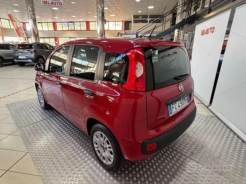 Usata Fiat Panda Easy 69 CV (50 kW) 2016 Rosso Utilitaria