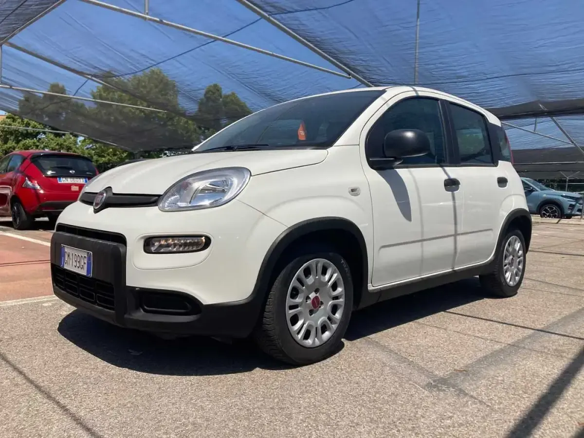 Usata Fiat Panda S 70 CV (51 kW) 2023 Bianco Utilitaria