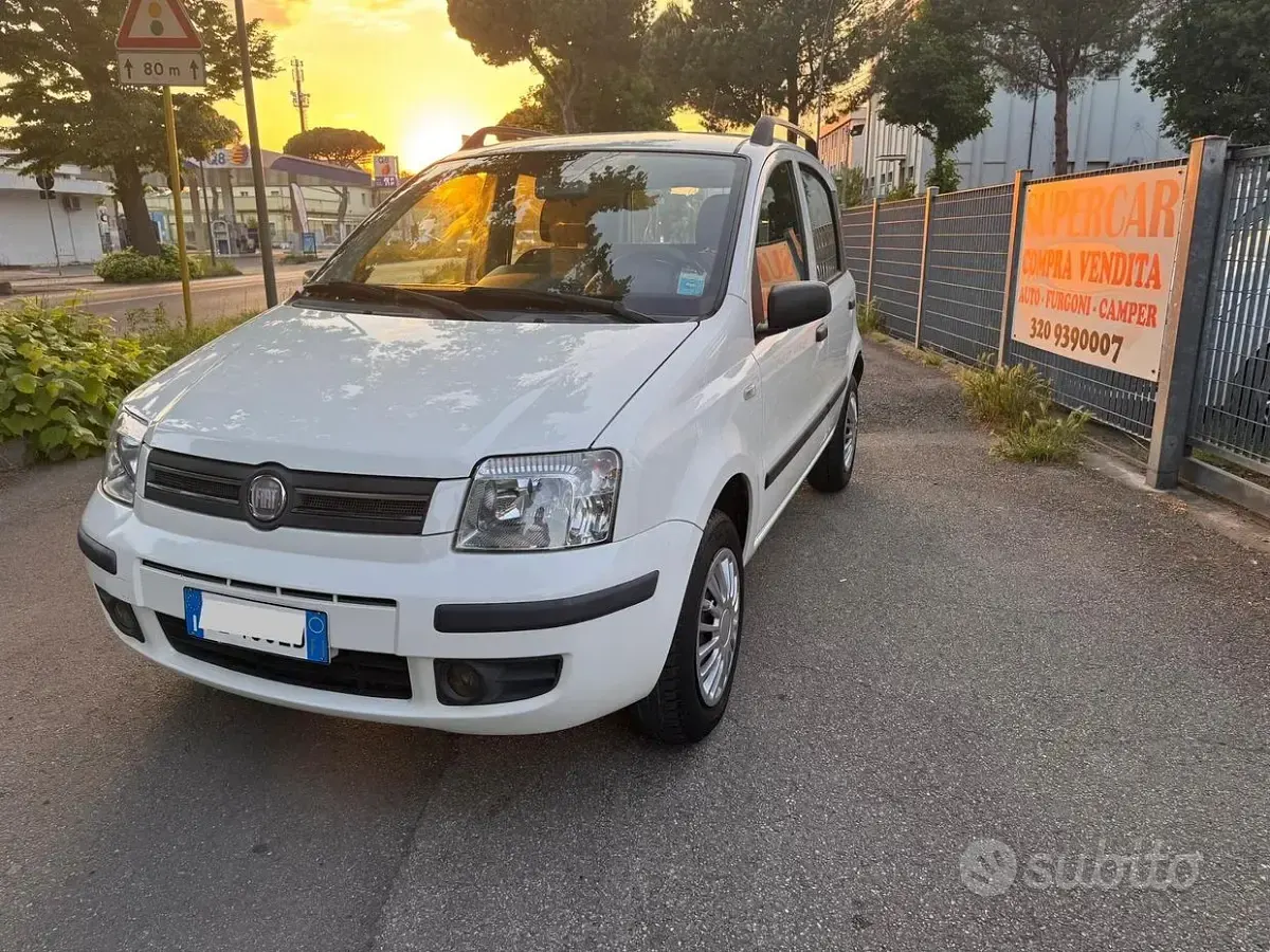 Usata Fiat Panda Dynamic 60 CV (44 kW) 2009 Bianco Utilitaria