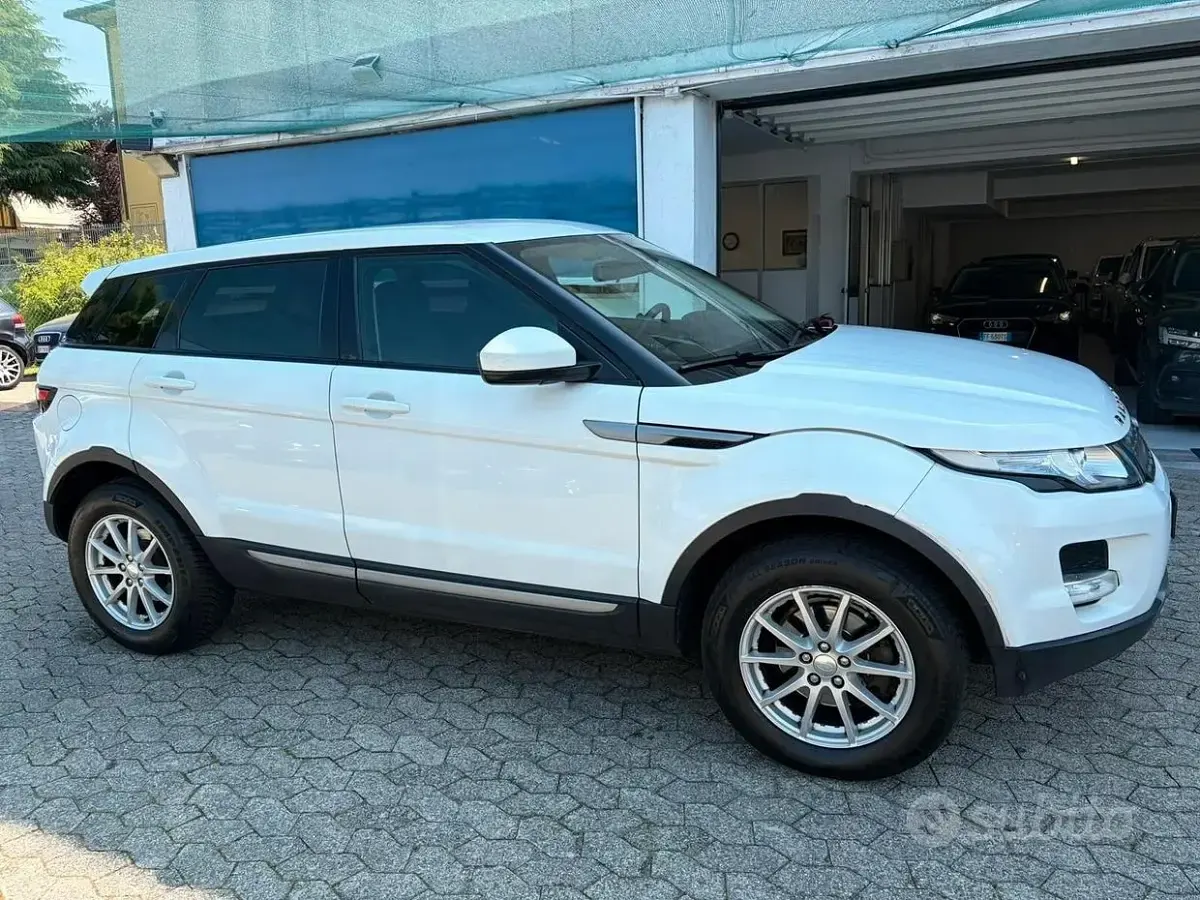 Usata Land Rover Range Rover evoque 150 CV (110 kW) 2014 Bianco SUV